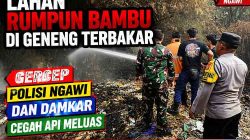 Lahan Rumpun Bambu di Geneng Terbakar, Gercep Polisi Ngawi dan Damkar Cegah Api Meluas
