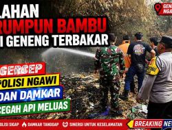 Lahan Rumpun Bambu di Geneng Terbakar, Gercep Polisi Ngawi dan Damkar Cegah Api Meluas