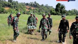 Lahan Tidur Disulap Jadi Cuan, Kodim 0910/Malinau Panen Perdana 3,5 Ton Semangka