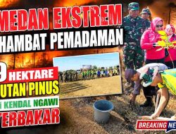 Medan Ekstrem Hambat Pemadaman, 9 Hektare Hutan Pinus di Kendal Ngawi Terbakar