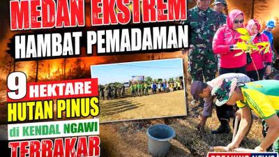 Medan Ekstrem Hambat Pemadaman, 9 Hektare Hutan Pinus di Kendal Ngawi Terbakar
