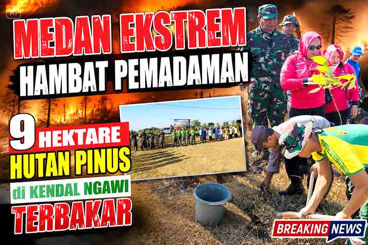 Medan Ekstrem Hambat Pemadaman, 9 Hektare Hutan Pinus di Kendal Ngawi Terbakar