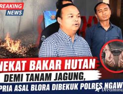 Nekat Bakar Hutan Demi Tanam Jagung, Pria Asal Blora Dibekuk Polres Ngawi