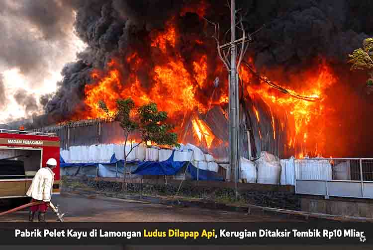 Pabrik Pelet Kayu di Lamongan Ludes Dilalap Api, Kerugian Ditaksir Tembus Rp10 Miliar