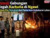 Gerak Cepat! Patroli Gabungan di Ngawi Padamkan Kebakaran Lahan Saat Sisir Hutan Pitu