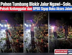 Pohon Tumbang Blokir Jalur Ngawi–Solo, Polsek Kedunggalar dan BPBD Sigap Buka Akses Jalan