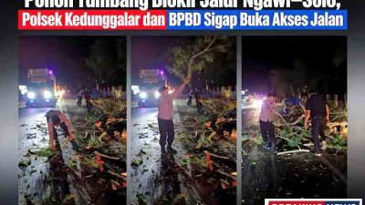 Pohon Tumbang Blokir Jalur Ngawi–Solo, Polsek Kedunggalar dan BPBD Sigap Buka Akses Jalan