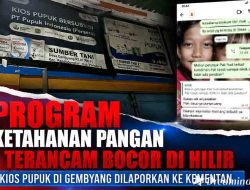 Program Ketahanan Pangan Terancam Bocor di Hilir, Kios Pupuk di Gembyang Dilaporkan ke Kementan