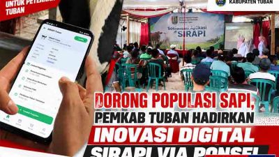 SIRAPI Tuban, Digitalisasi Peternakan, DKP2P Tuban, Inovasi Sapi Potong, Kesehatan Reproduksi Sapi