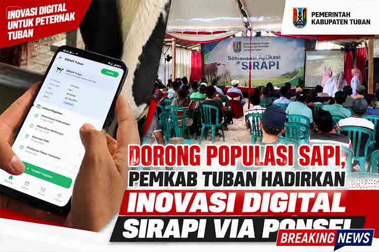 SIRAPI Tuban, Digitalisasi Peternakan, DKP2P Tuban, Inovasi Sapi Potong, Kesehatan Reproduksi Sapi