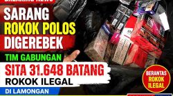 Sarang Rokok Polos Digerebek, Tim Gabungan Sita 31.648 Batang Rokok Ilegal di Lamongan
