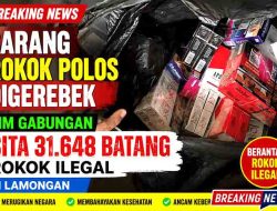 Sarang Rokok Polos Digerebek, Tim Gabungan Sita 31.648 Batang Rokok Ilegal di Lamongan