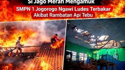 Si Jago Merah Mengamuk, SMPN 1 Jogorogo Ngawi Ludes Terbakar Akibat Rambatan Api Tebu