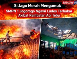 Si Jago Merah Mengamuk, SMPN 1 Jogorogo Ngawi Ludes Terbakar Akibat Rambatan Api Tebu