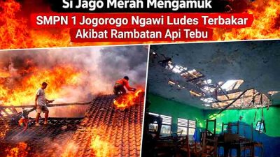 Si Jago Merah Mengamuk, SMPN 1 Jogorogo Ngawi Ludes Terbakar Akibat Rambatan Api Tebu
