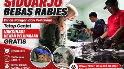 Sidoarjo Bebas Rabies, Dinas Pangan dan Pertanian Tetap Genjot Vaksinasi Hewan Peliharaan Gratis