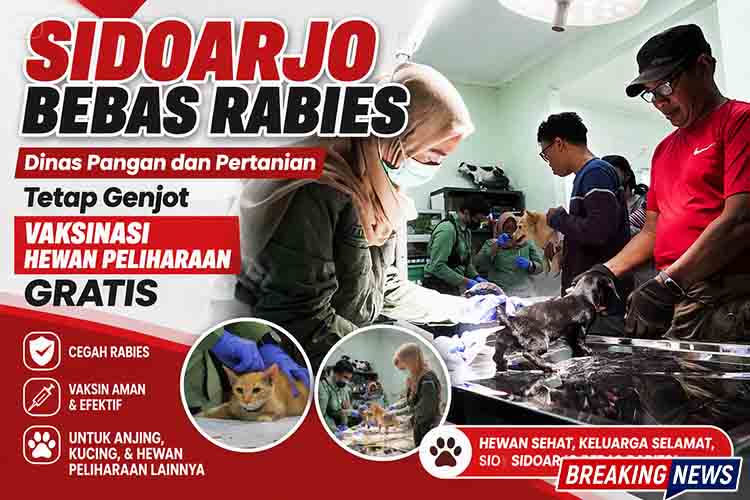 Sidoarjo Bebas Rabies, Dinas Pangan dan Pertanian Tetap Genjot Vaksinasi Hewan Peliharaan Gratis