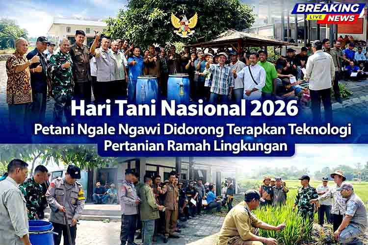Sinergi Lintas Sektor di Paron Ngawi Perkuat Ketahanan Pangan Lewat Pertanian Berkelanjutan