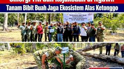 Peringati Harlah ke-81 Kejaksaan, Babinsa Koramil Paron dan Warga Hijaukan Alas Ketonggo Srigati