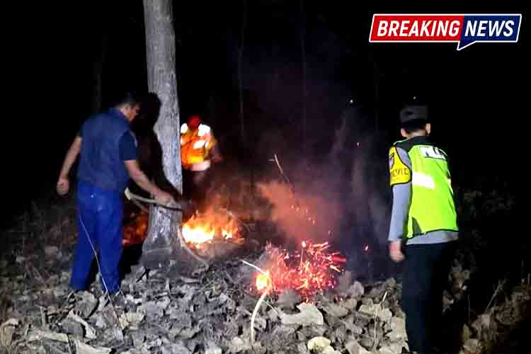 Cek Informasi Karhutla, Polsek Widodaren Temukan Titik Api dan Langsung Dipadamkan